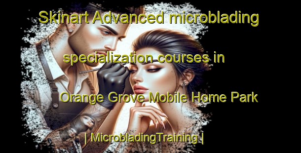 Skinart Advanced microblading specialization courses in Orange Grove Mobile Home Park | MicrobladingTraining | MicrobladingClasses | SkinartTraining-United States